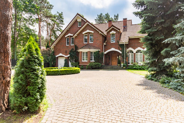 Best Driveway Paving Contractor  in Gotha, FL