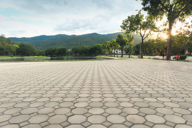 Best Commercial Driveway Pavers  in Gotha, FL